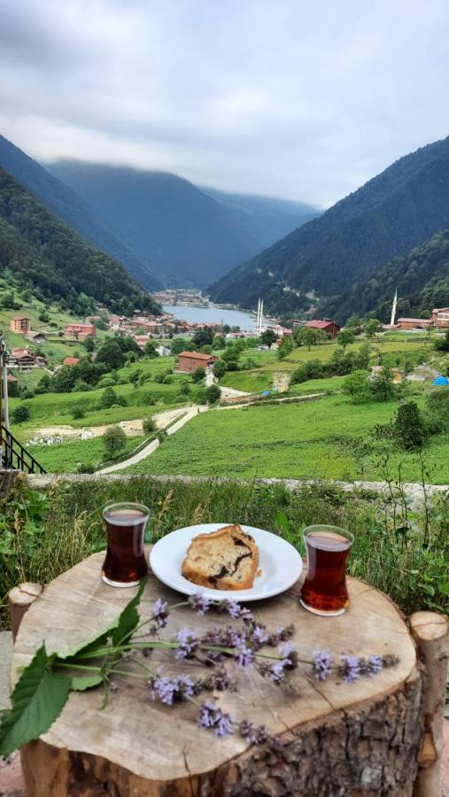 Er-Konak Suit Apart Uzungöl Exterior foto